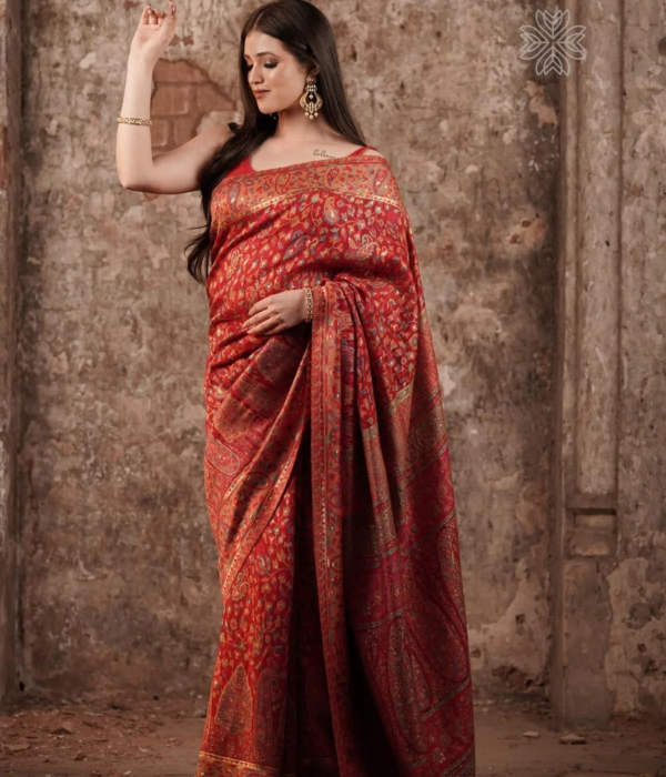 Saree Saturday